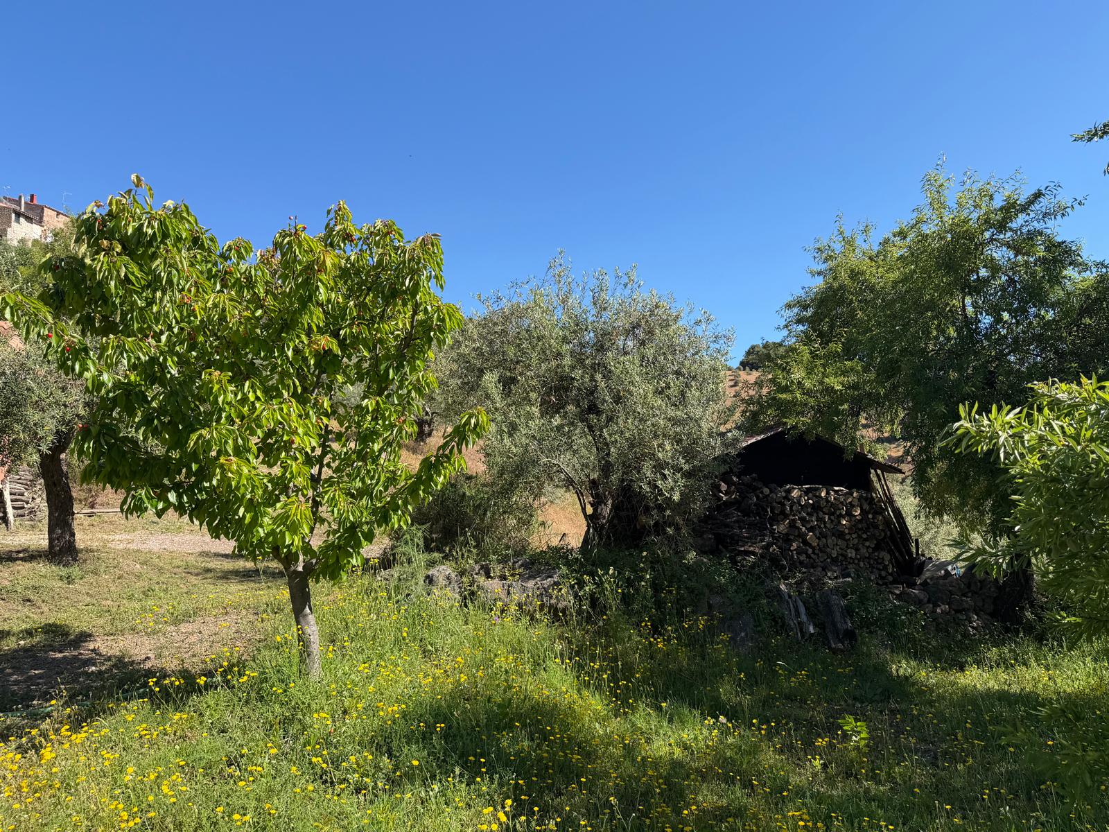 El Convento Singing Retreat - Image 2