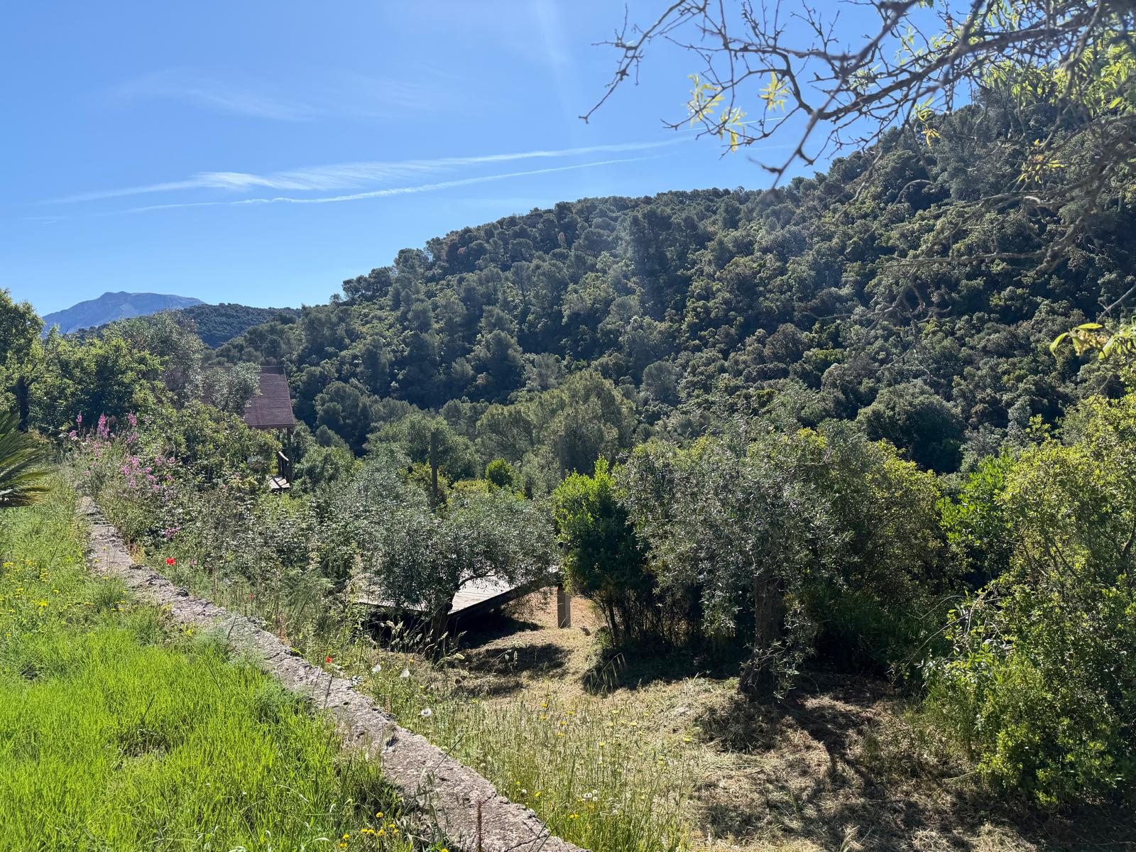El Convento Singing Retreat - Image 6