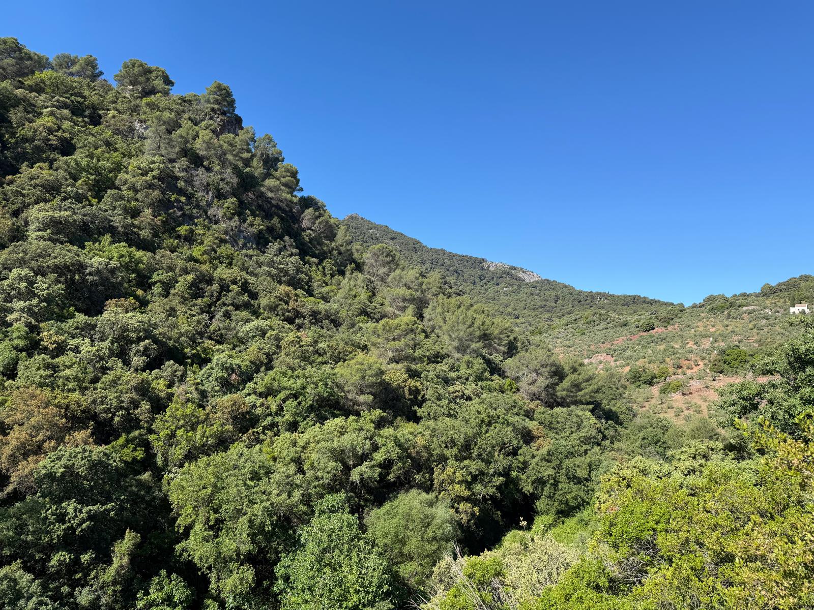 El Convento Singing Retreat - Image 7