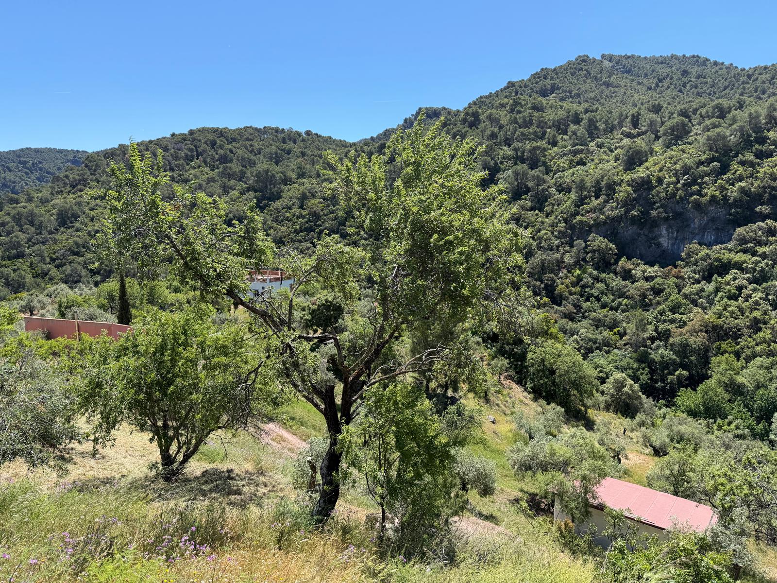 El Convento Singing Retreat - Image 15
