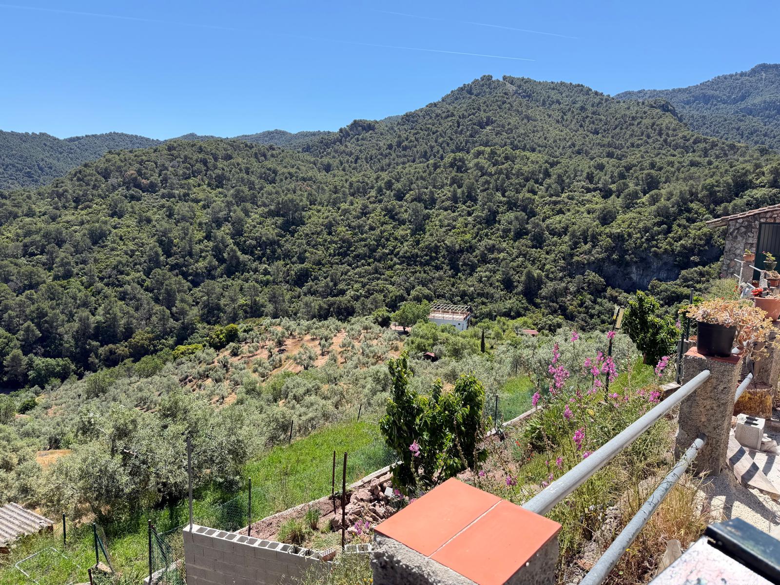 El Convento Singing Retreat - Image 16