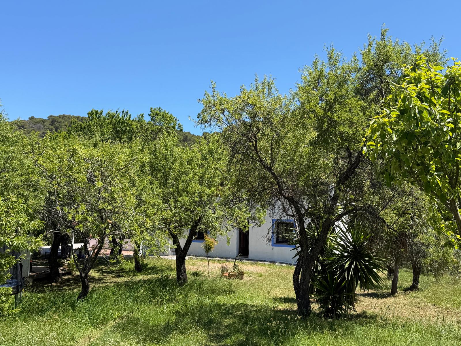 El Convento Singing Retreat - Image 17