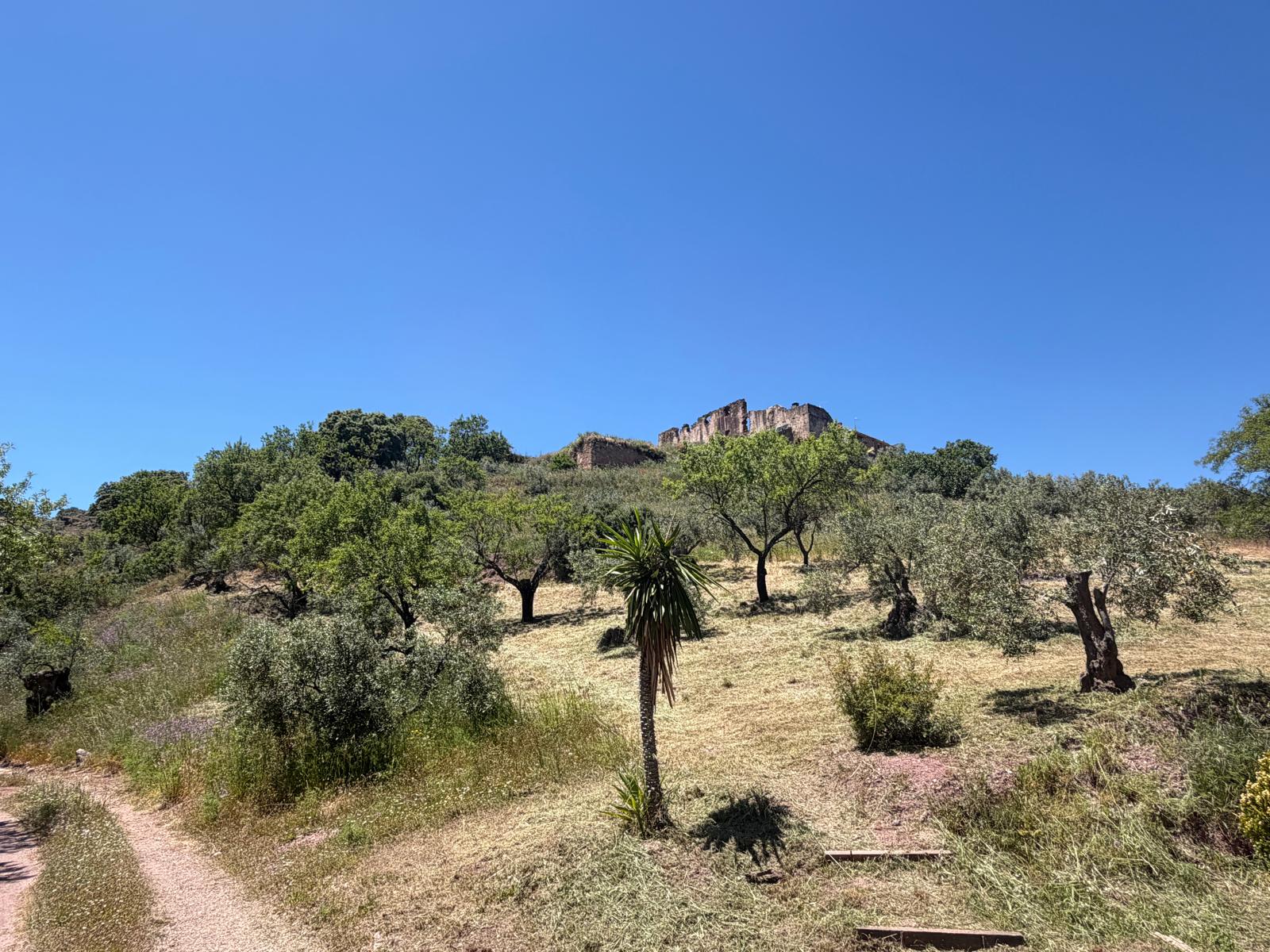El Convento Singing Retreat - Image 19