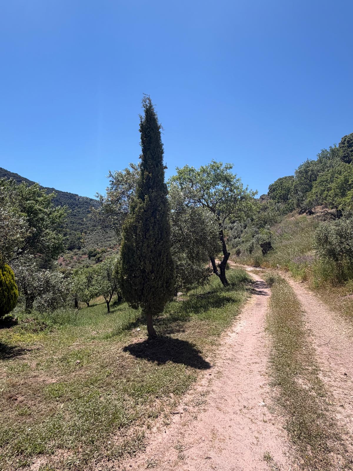 El Convento Singing Retreat - Image 18