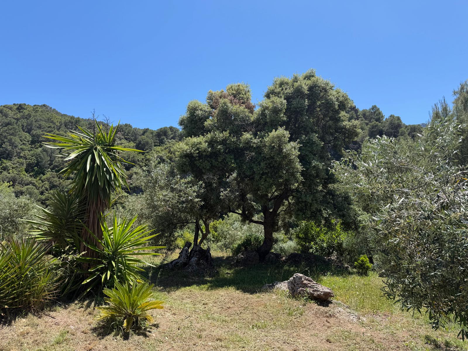 El Convento Singing Retreat - Image 20
